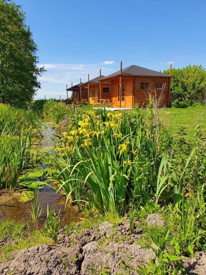 Camping De Oude Rijn Ter Aar Ngoại thất bức ảnh
